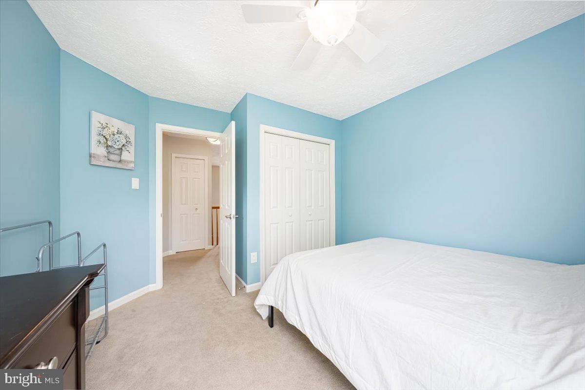 10651 Emmaline Drive photo 43