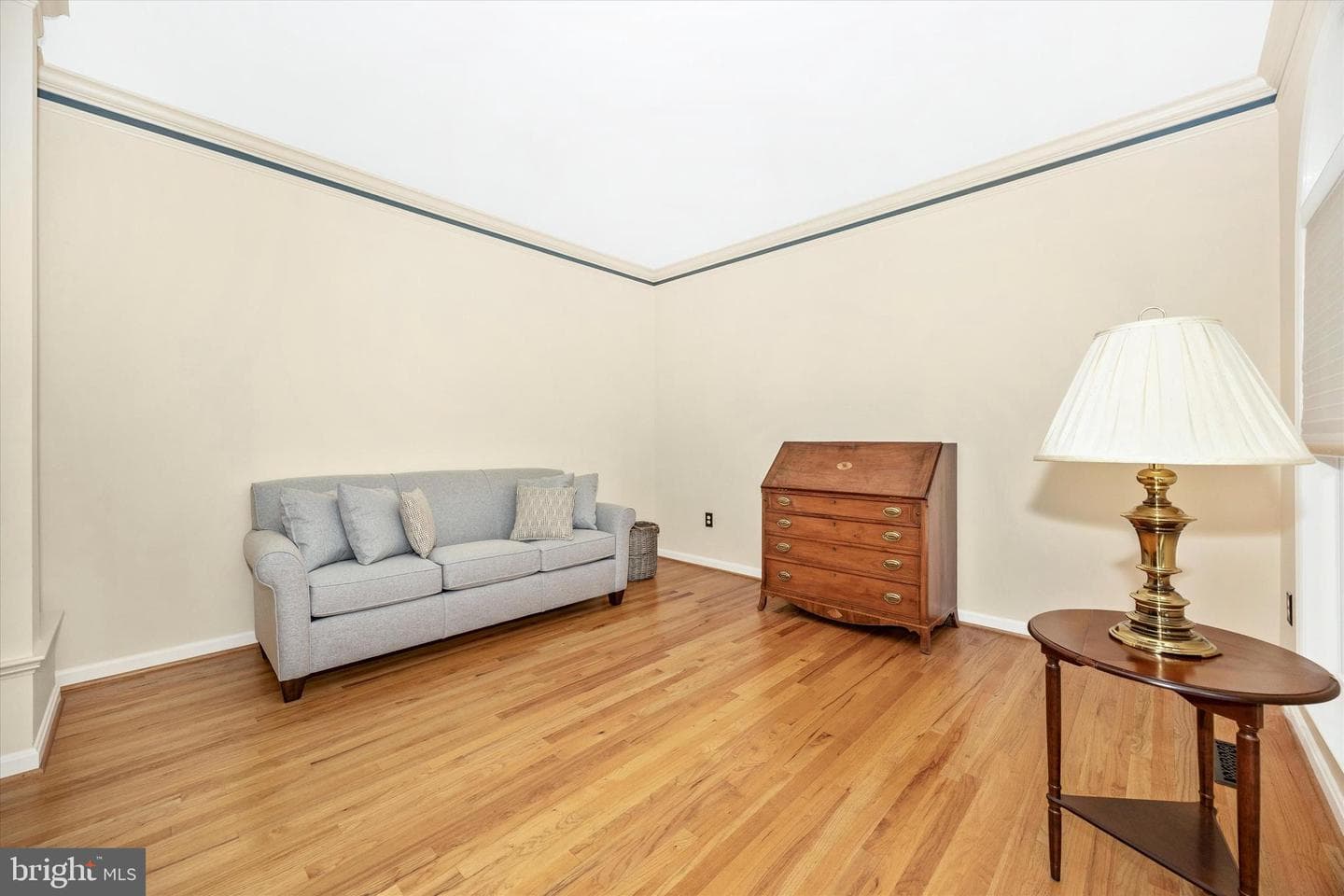 202 Swallow Falls Court photo 6