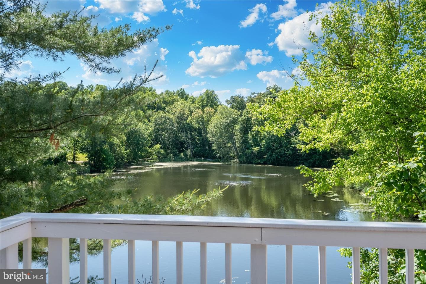 6594 Hemlock Point Road photo 76