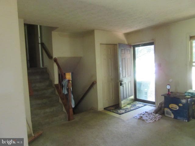 2162 Collingwood Lane photo 5