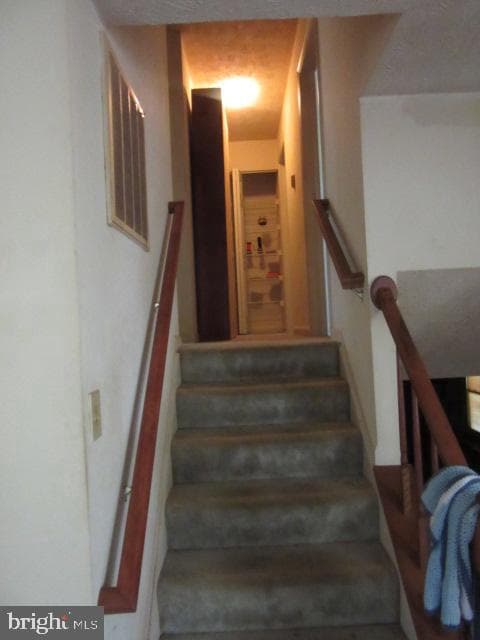 2162 Collingwood Lane photo 8