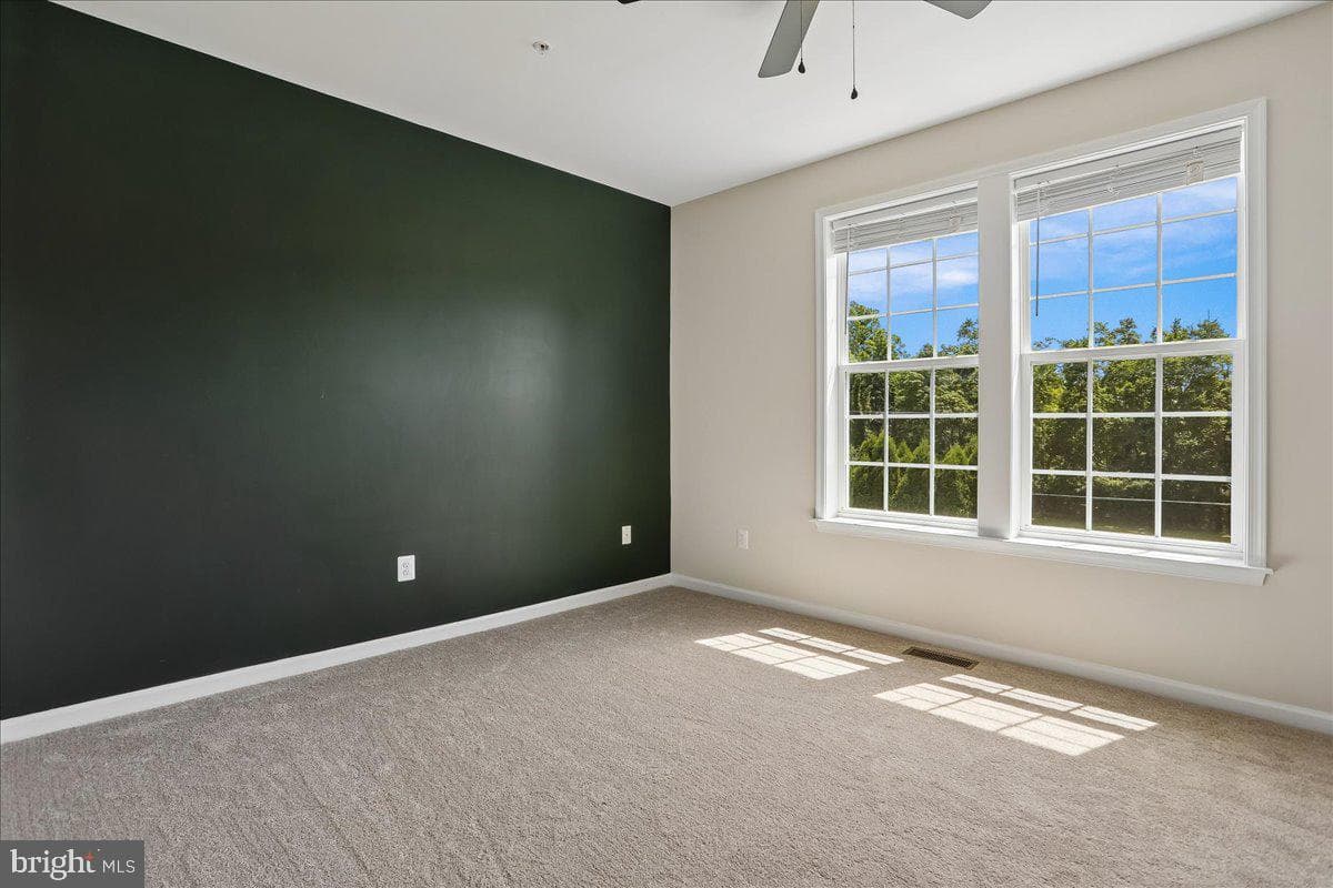 15 Leekyler Place photo 21