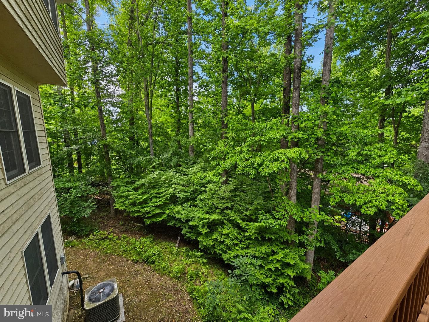 10918 Oakcrest Circle photo 59