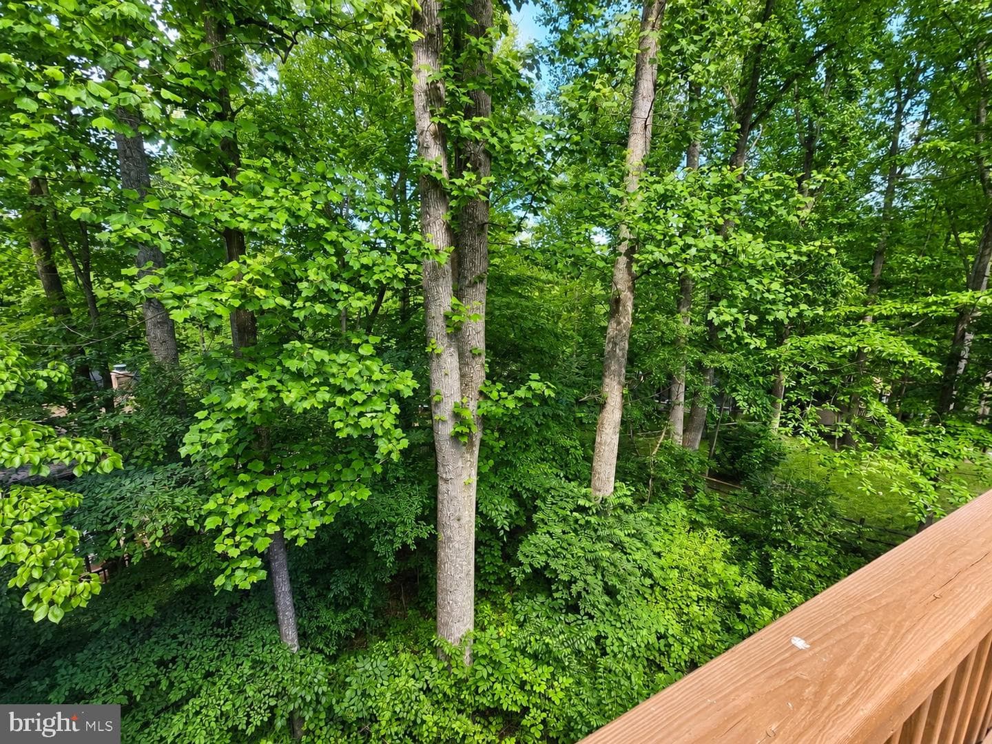 10918 Oakcrest Circle photo 60