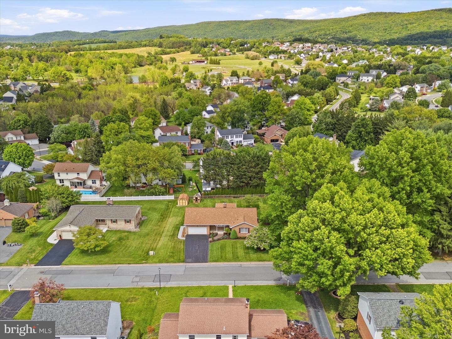 12 Caroline Drive photo 65