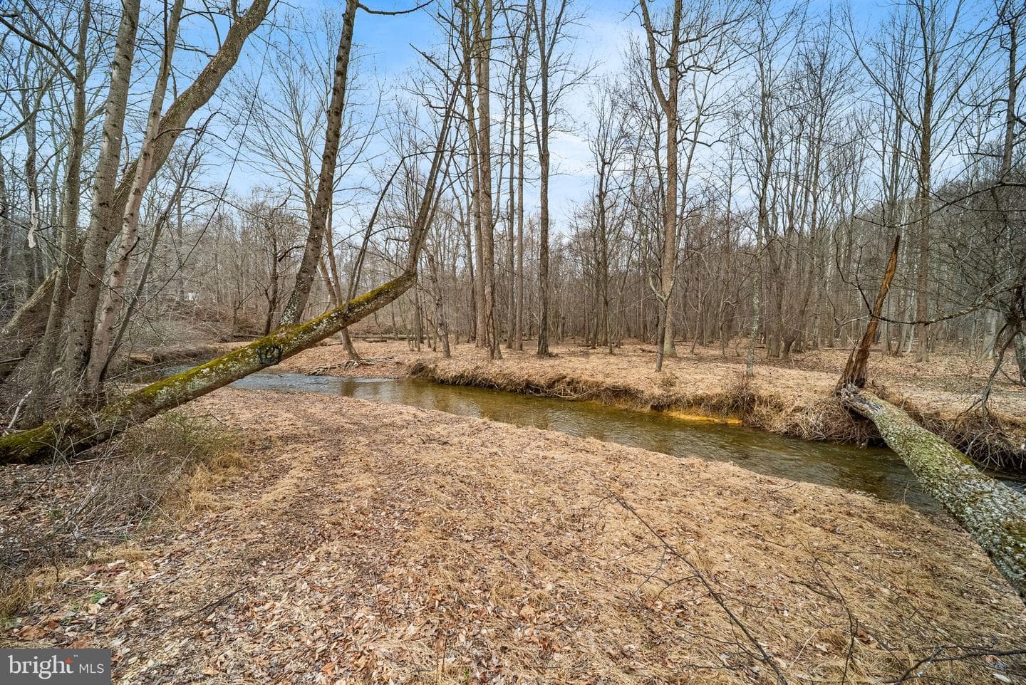 2420 Prices Distillery Road photo 4