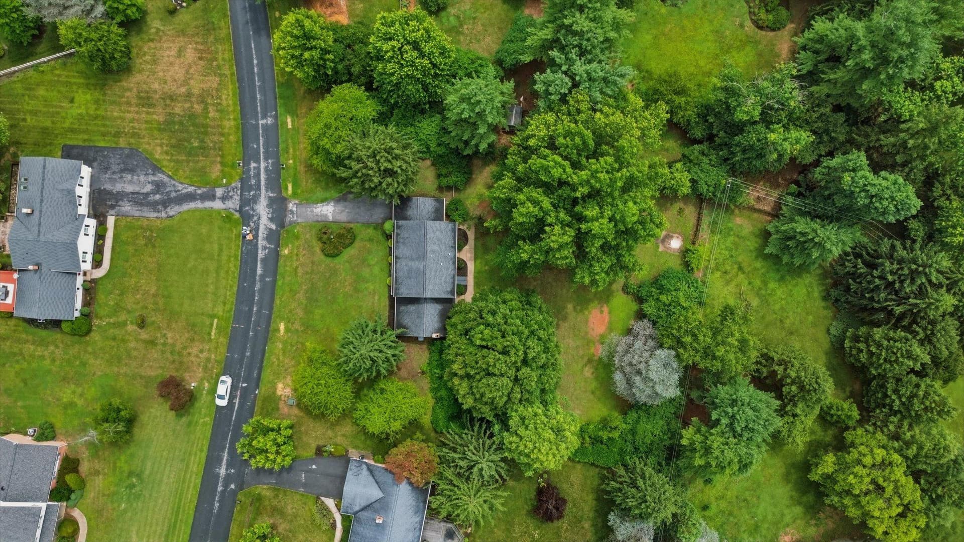 7007 Runnymeade Court photo 45