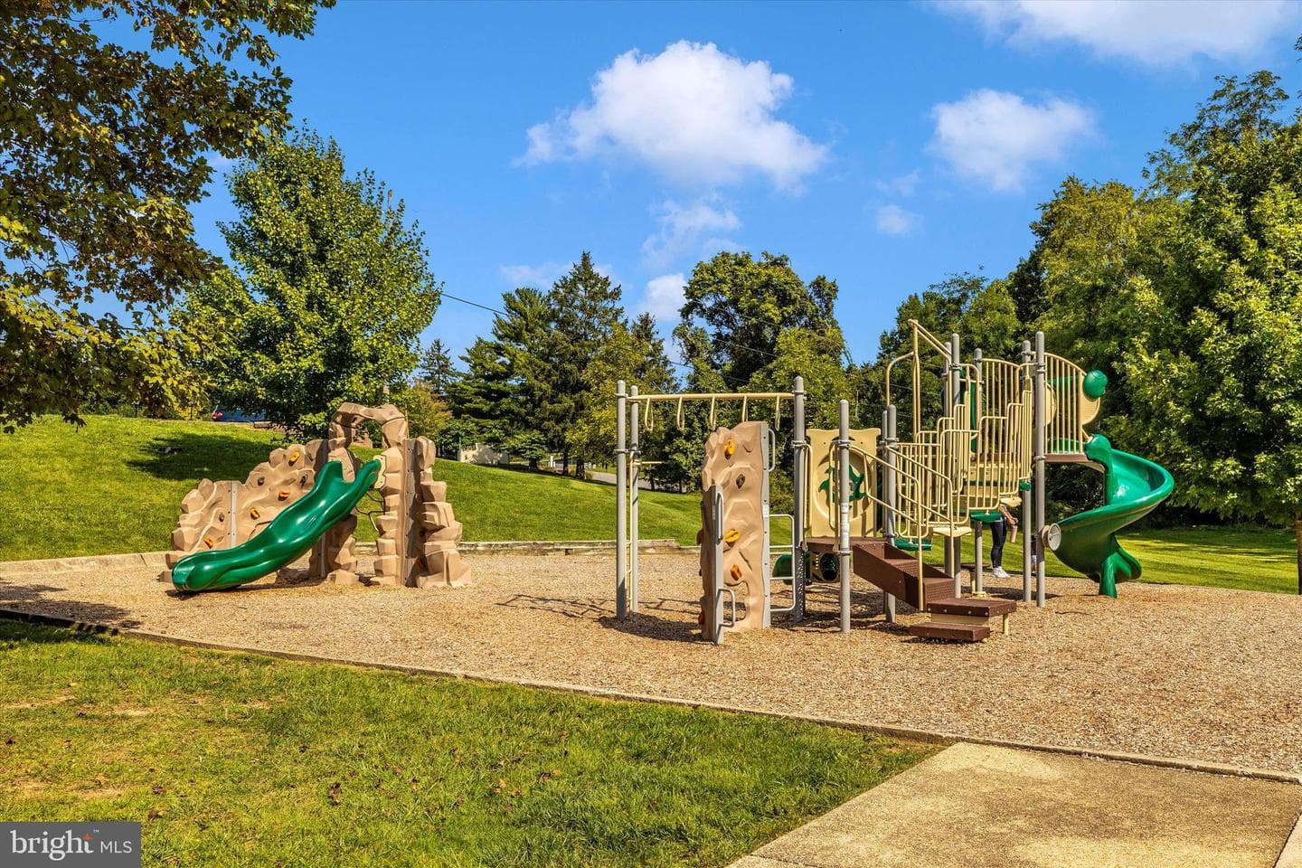 10294 Erie Way photo 41