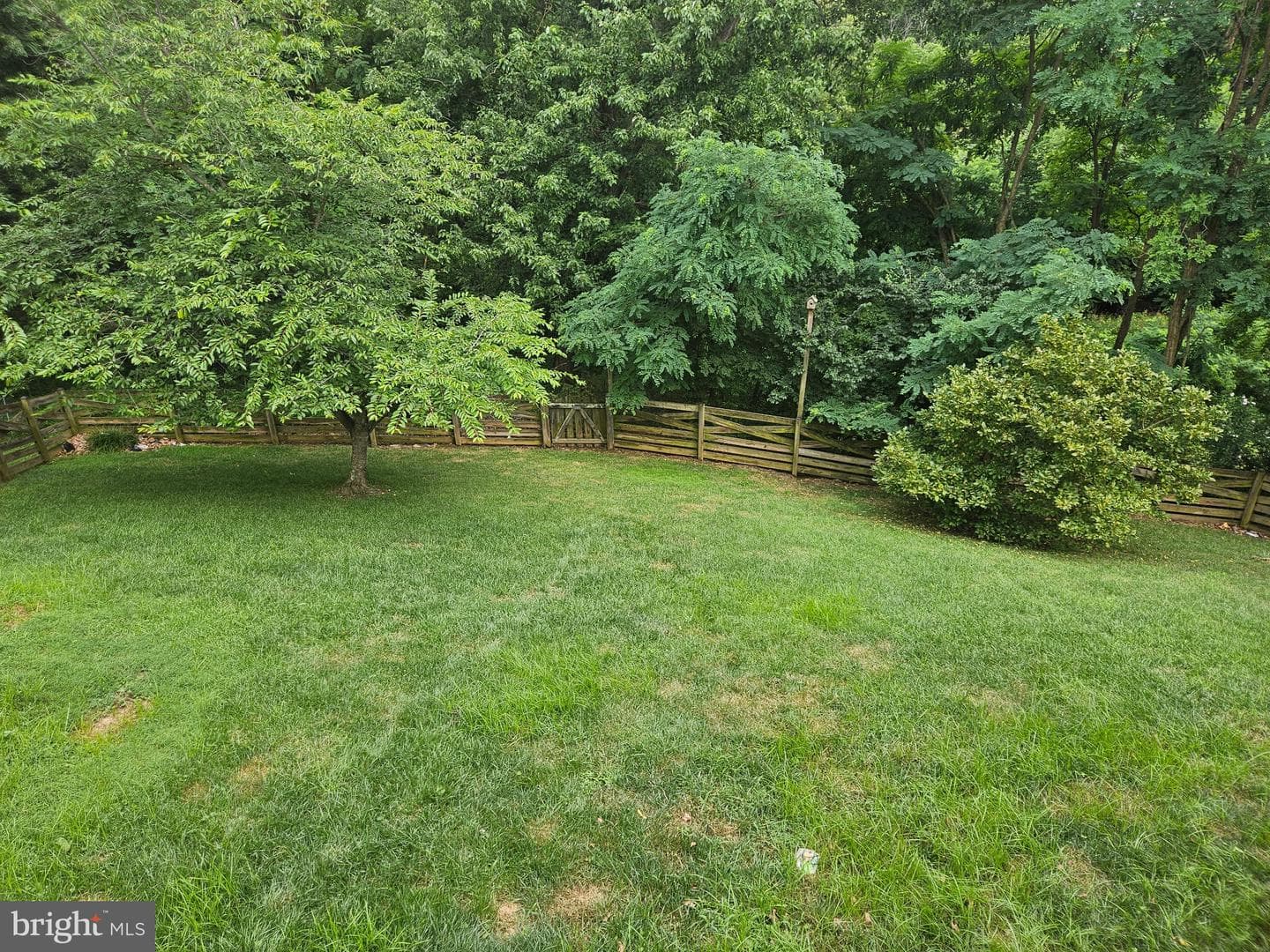 814 Fifth Avenue photo 6