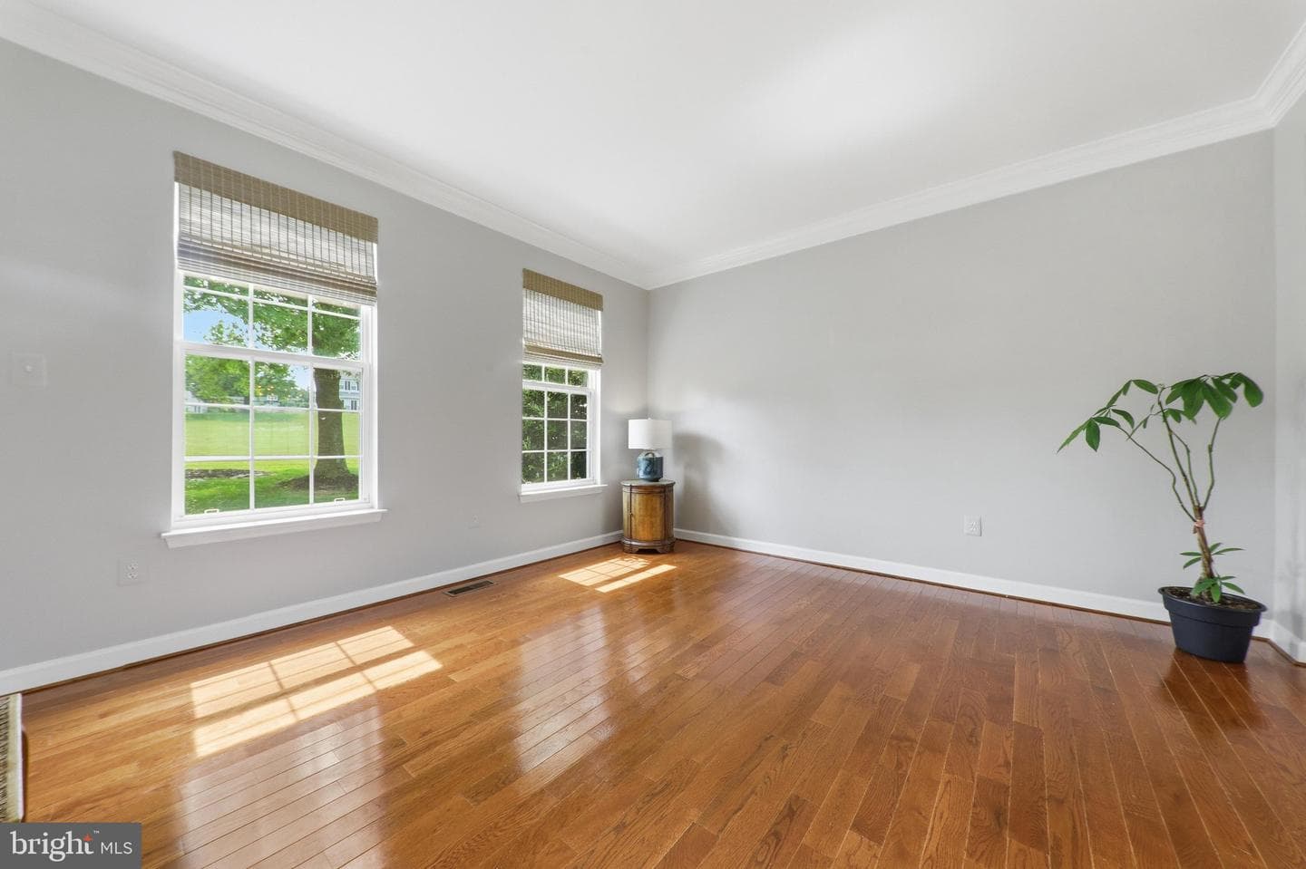 3455 Emys Place photo 5