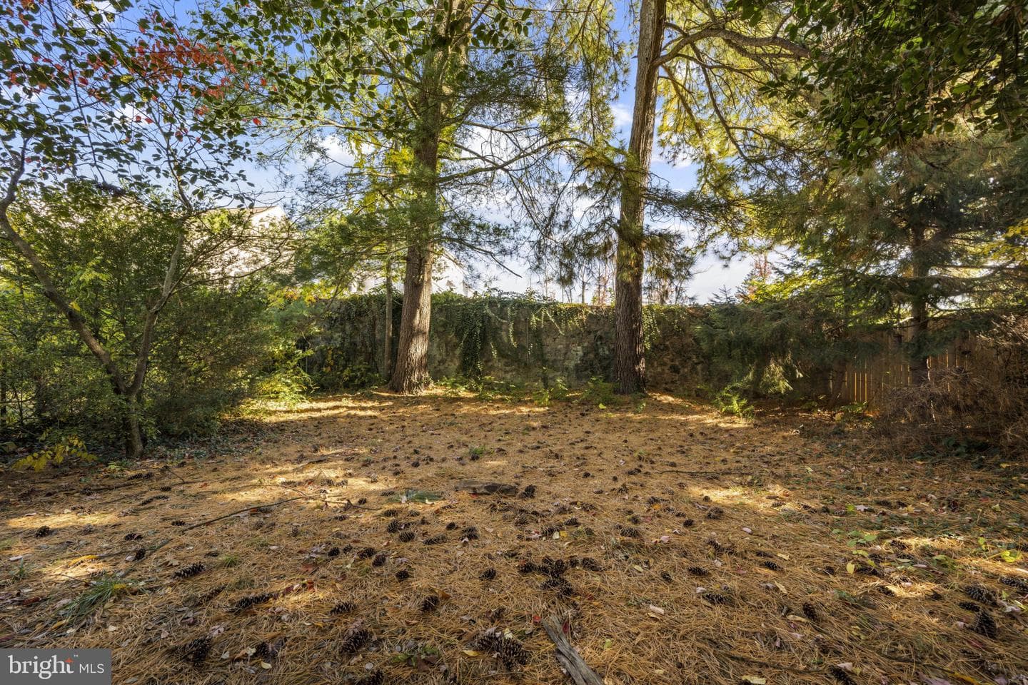 343 Hackley Drive photo 34