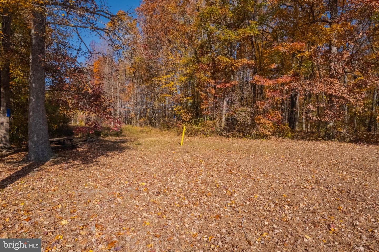 1900 Fletcher Road photo 36