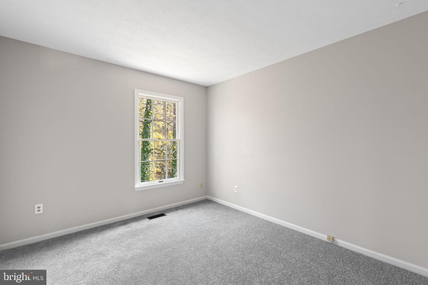 412 Grasmere Drive photo 28