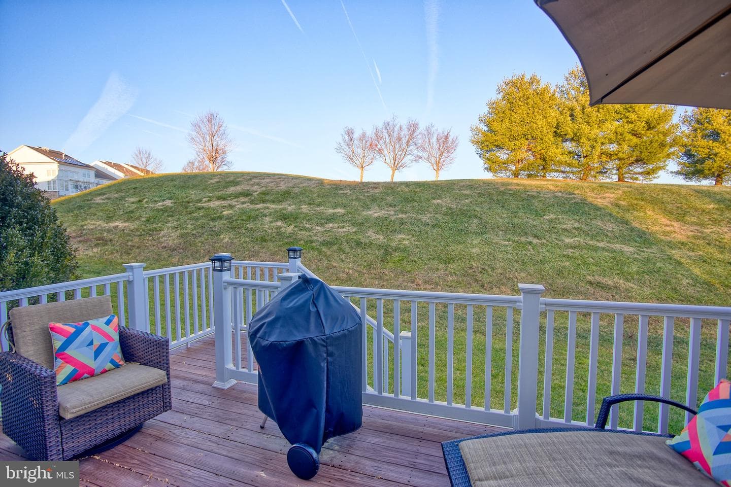513 Majestic Prince Circle photo 35