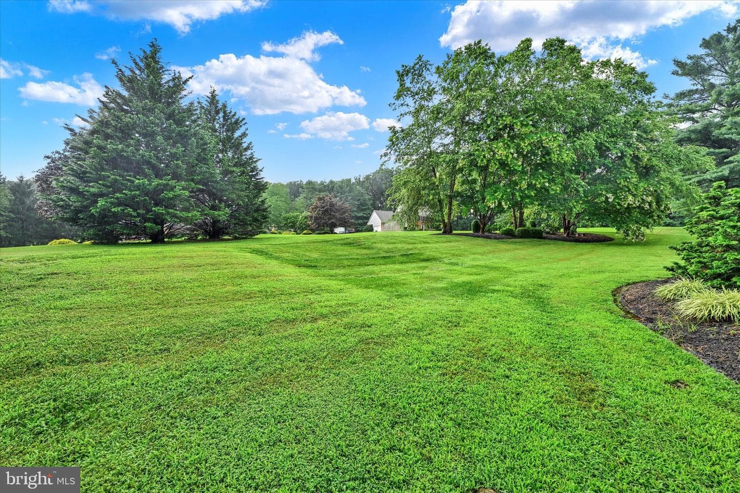 2319 Cool Woods photo 46