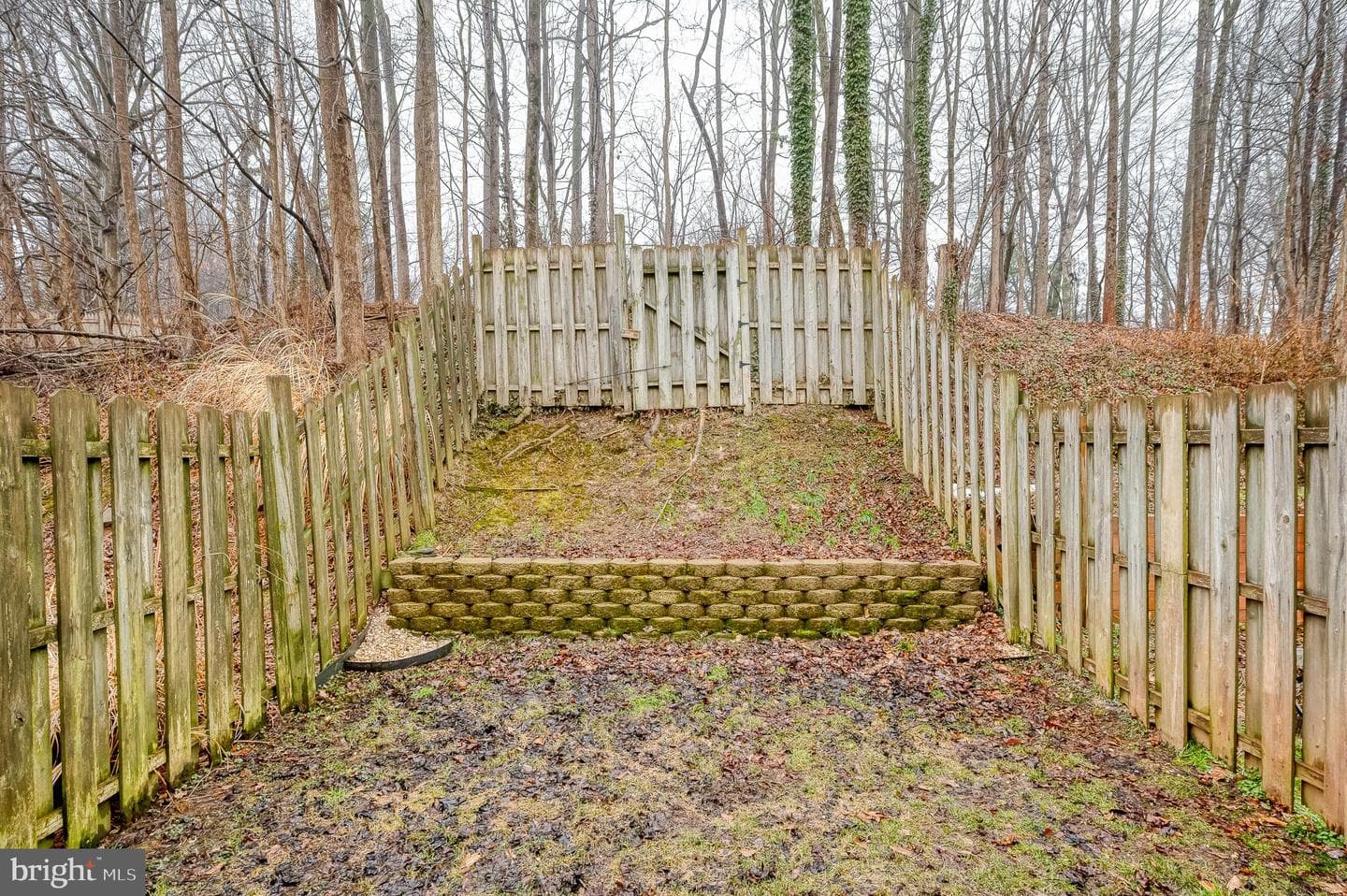 1204 Splashing Brook Drive photo 57