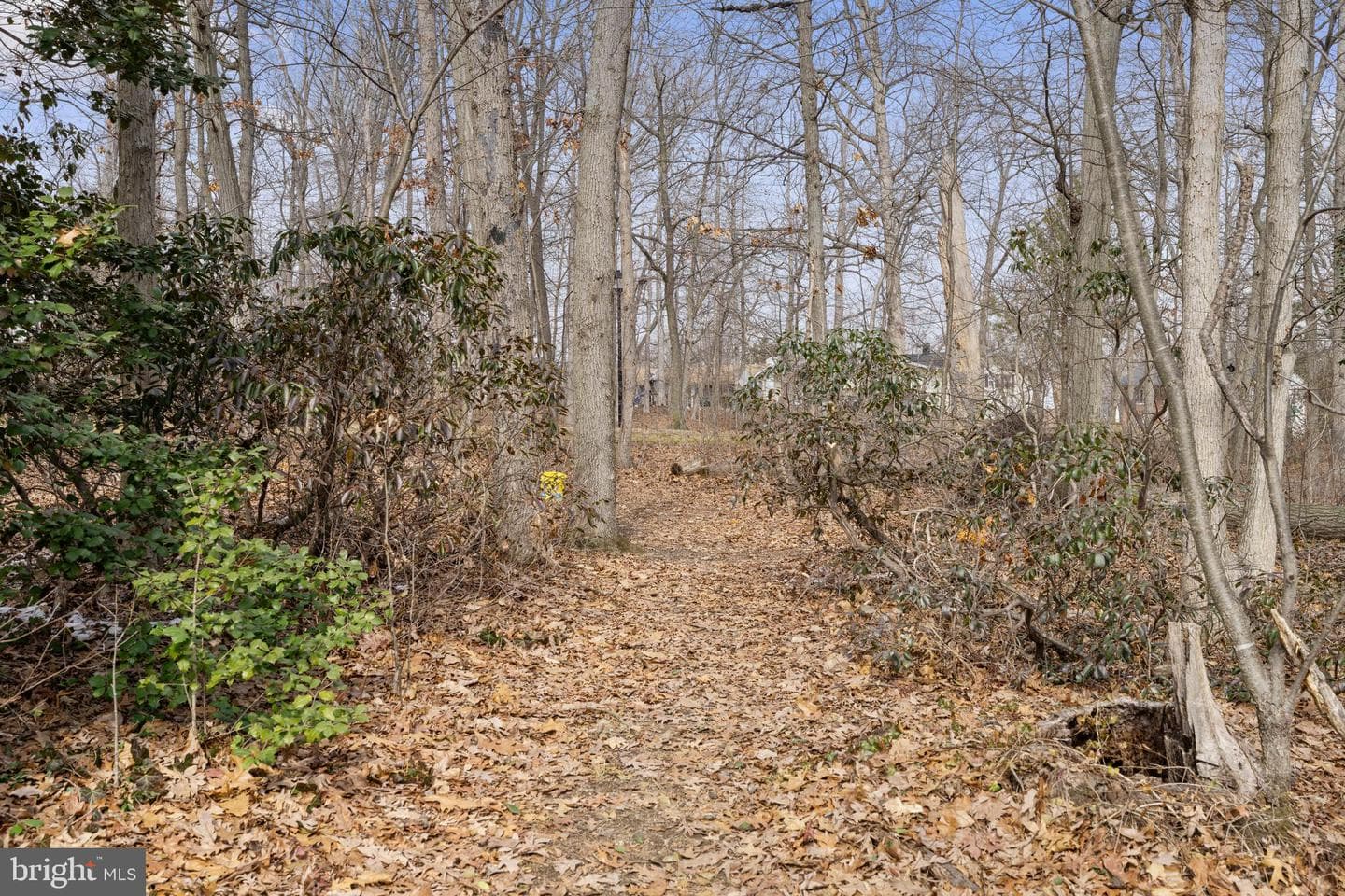 311 Summerfield Court photo 43