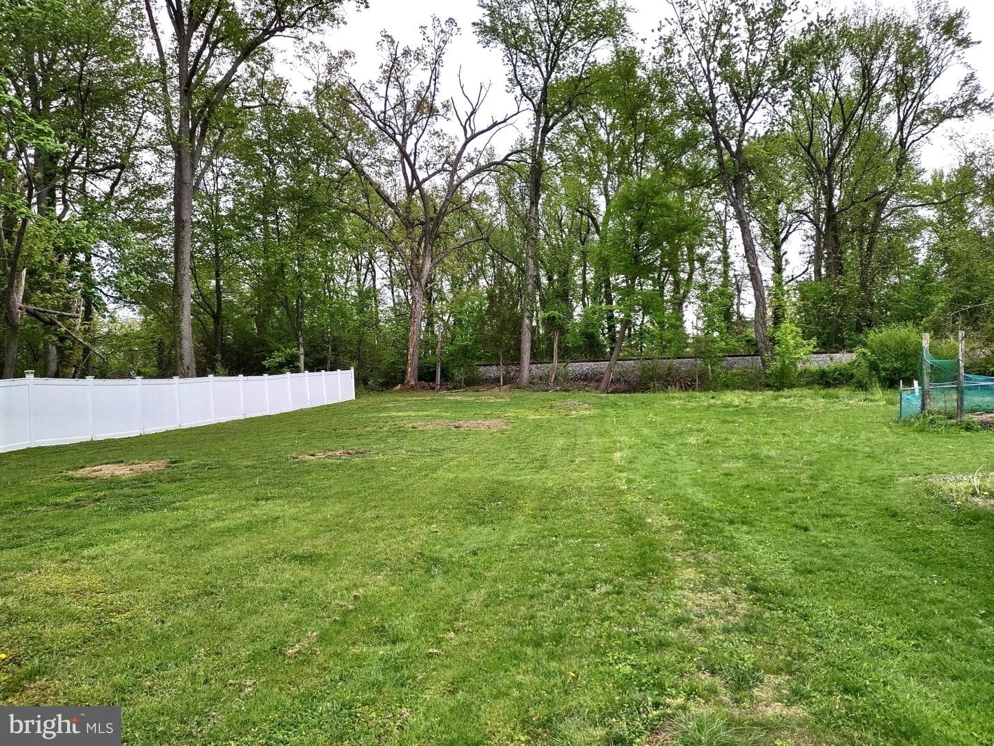 45 Mount Royal Avenue photo 38