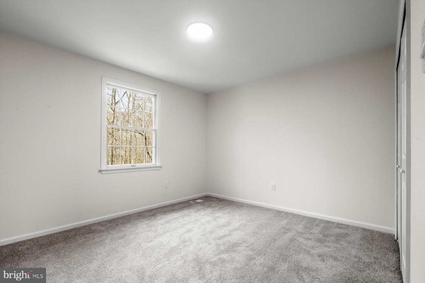 3134 Birch Brook Lane photo 34