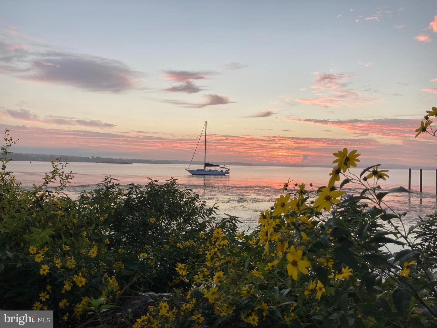 299 Girard Street #299-C photo 22