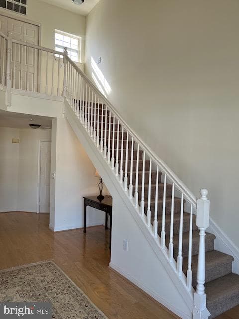 299 Girard Street #299-C photo 8