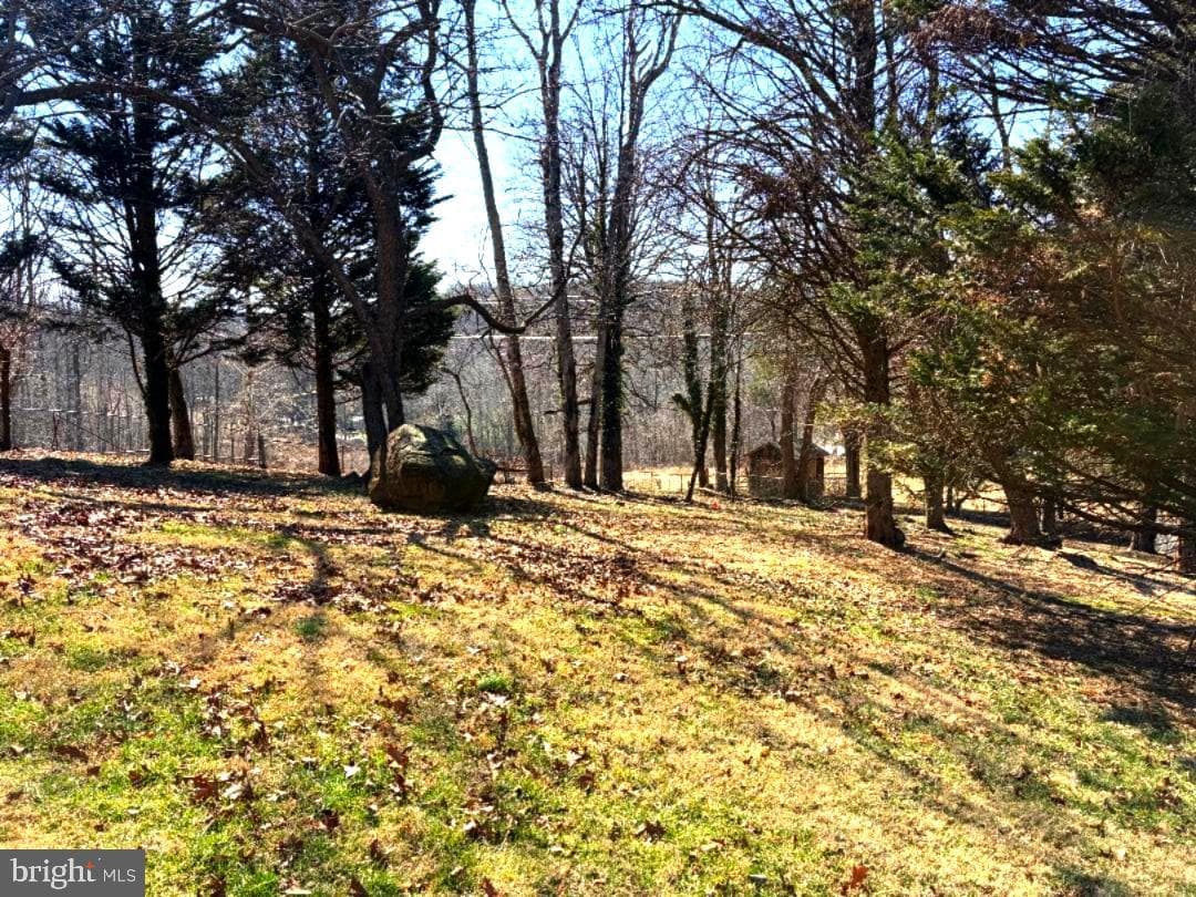 2615 Whitt Road photo 19