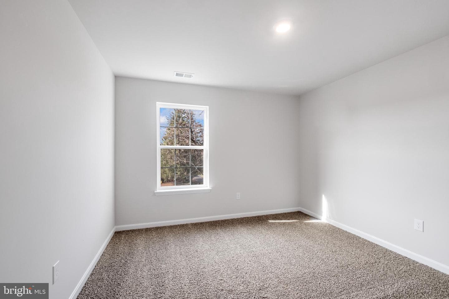 802 Hyssop Court photo 10