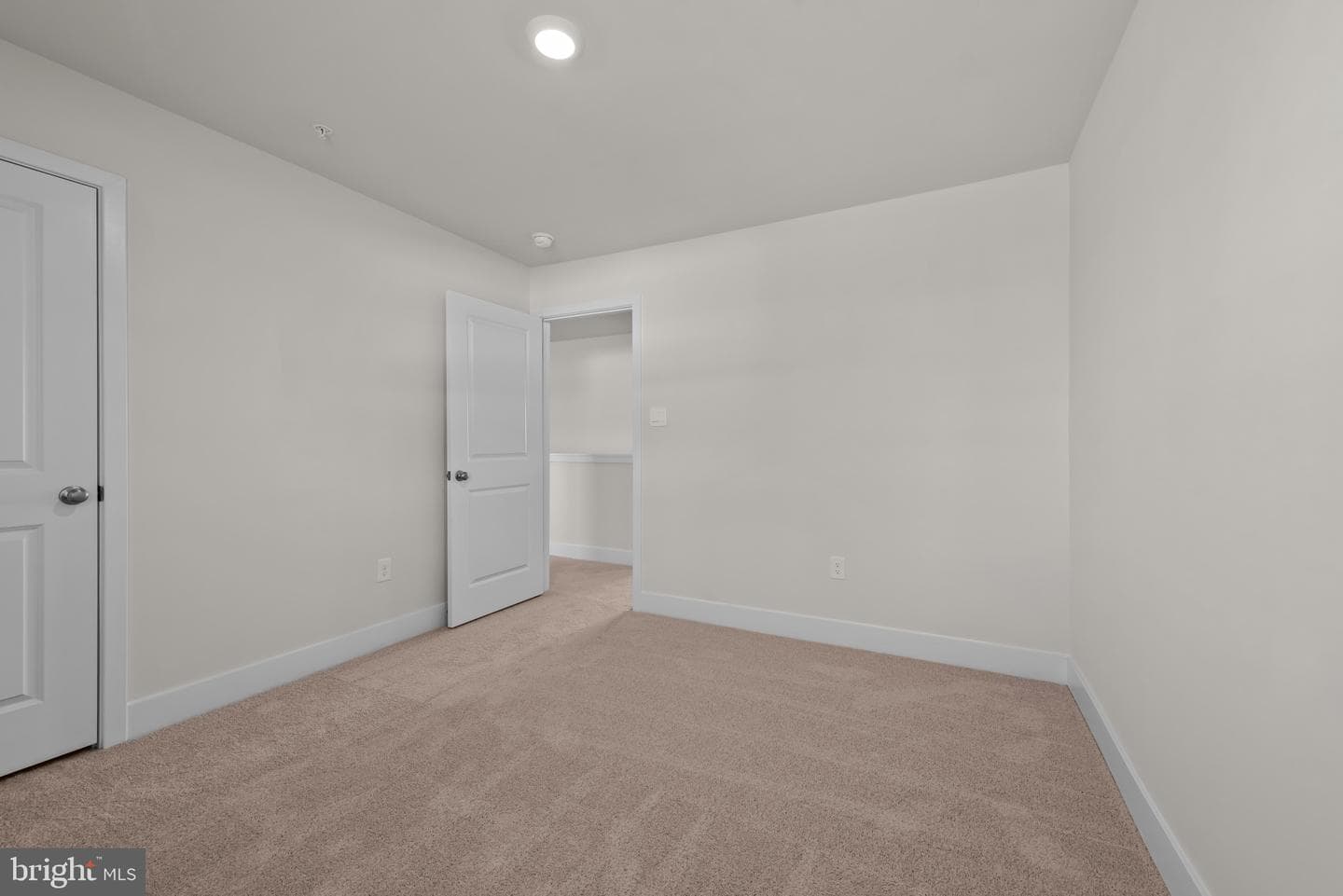 801 Hyssop Court photo 22