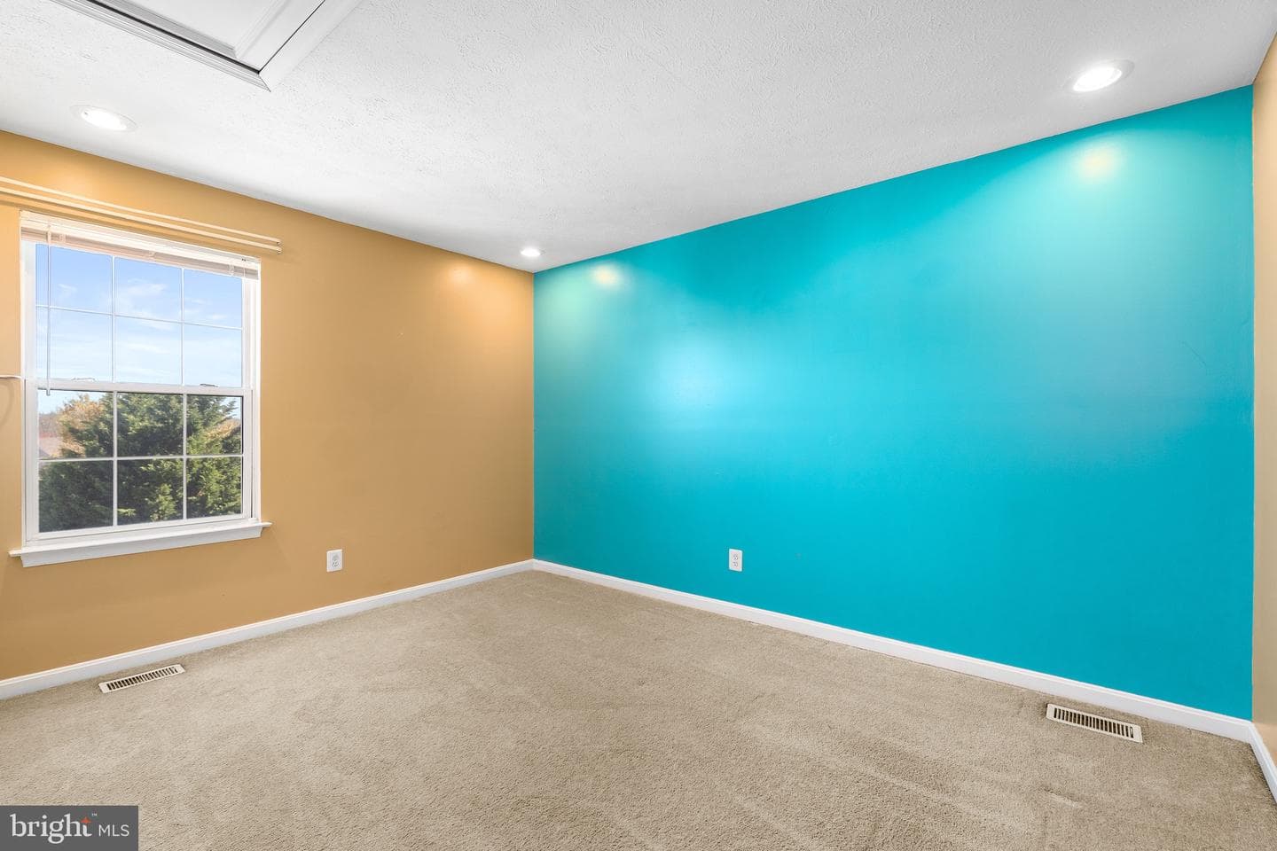 1116 Walnut Hill Court photo 17