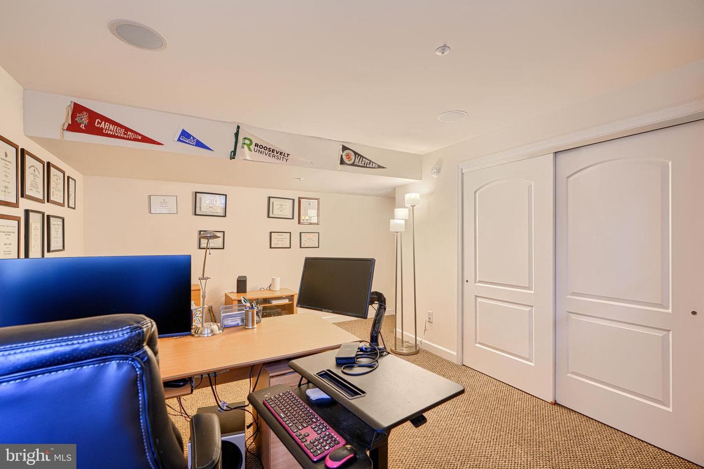 102 Flying Ebony Place photo 51