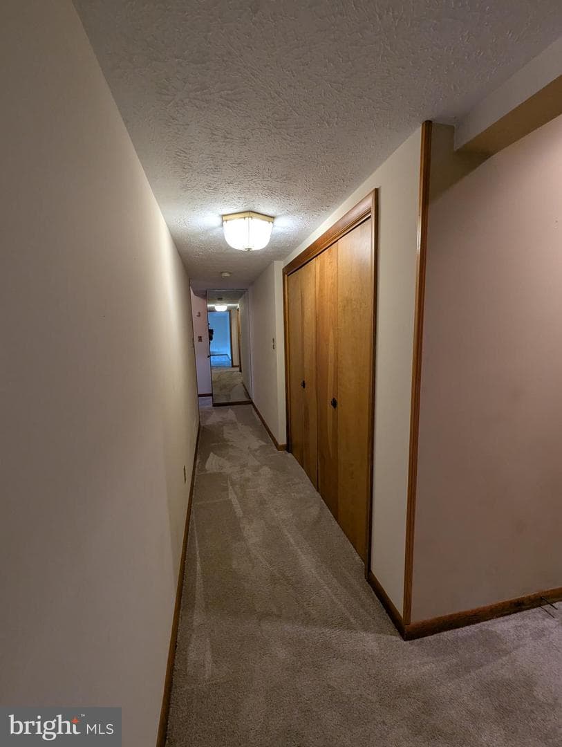 3729 Abingdon Beach Road photo 57