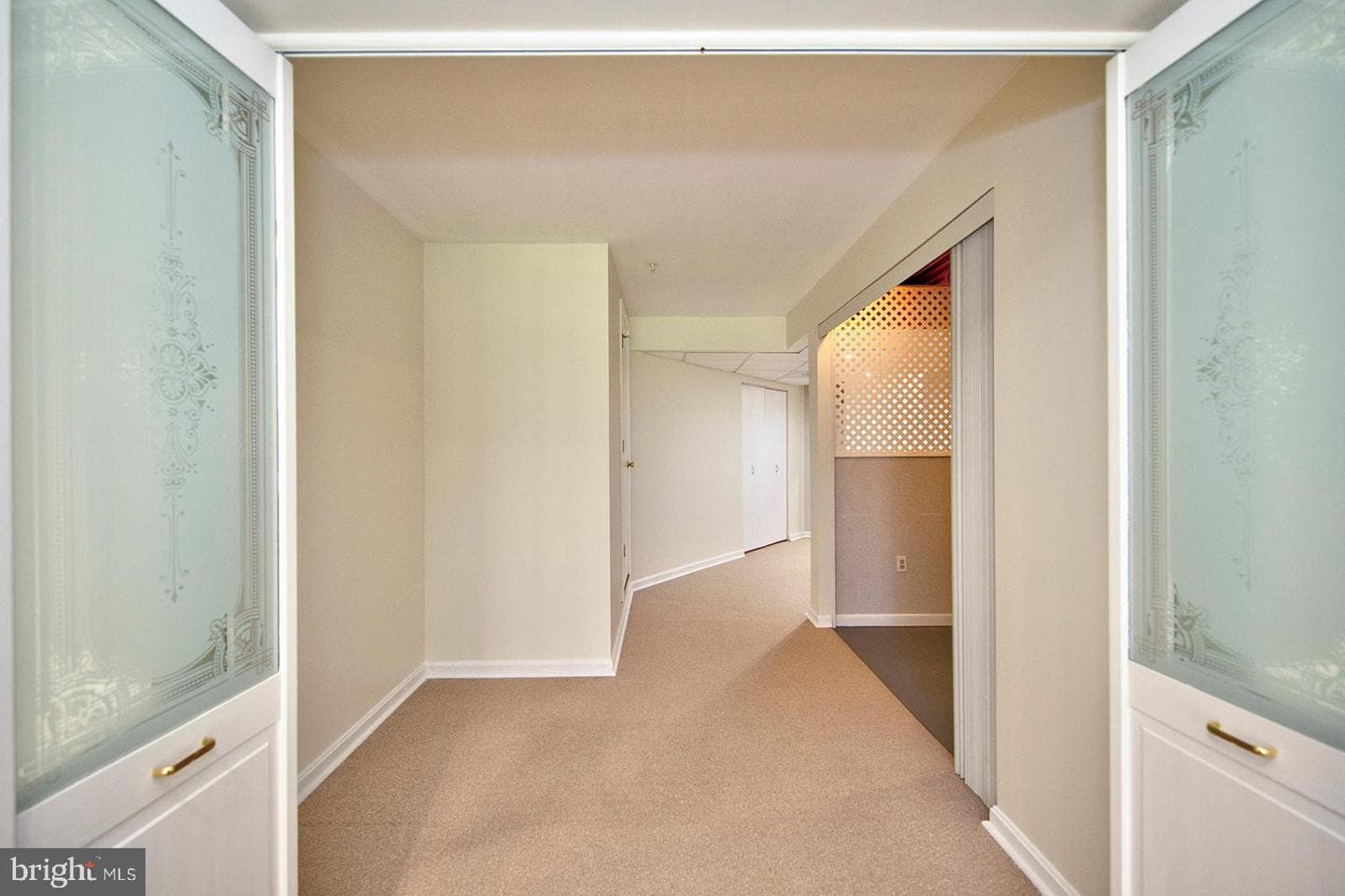 337 Woodland Green Ct Court photo 38
