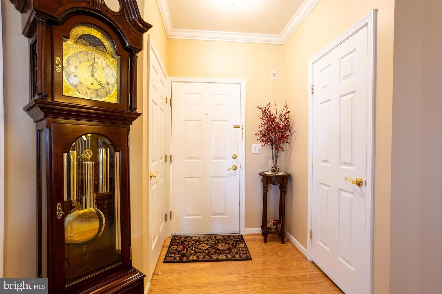 205 Kings Crossing Cir Apt 1B photo 3