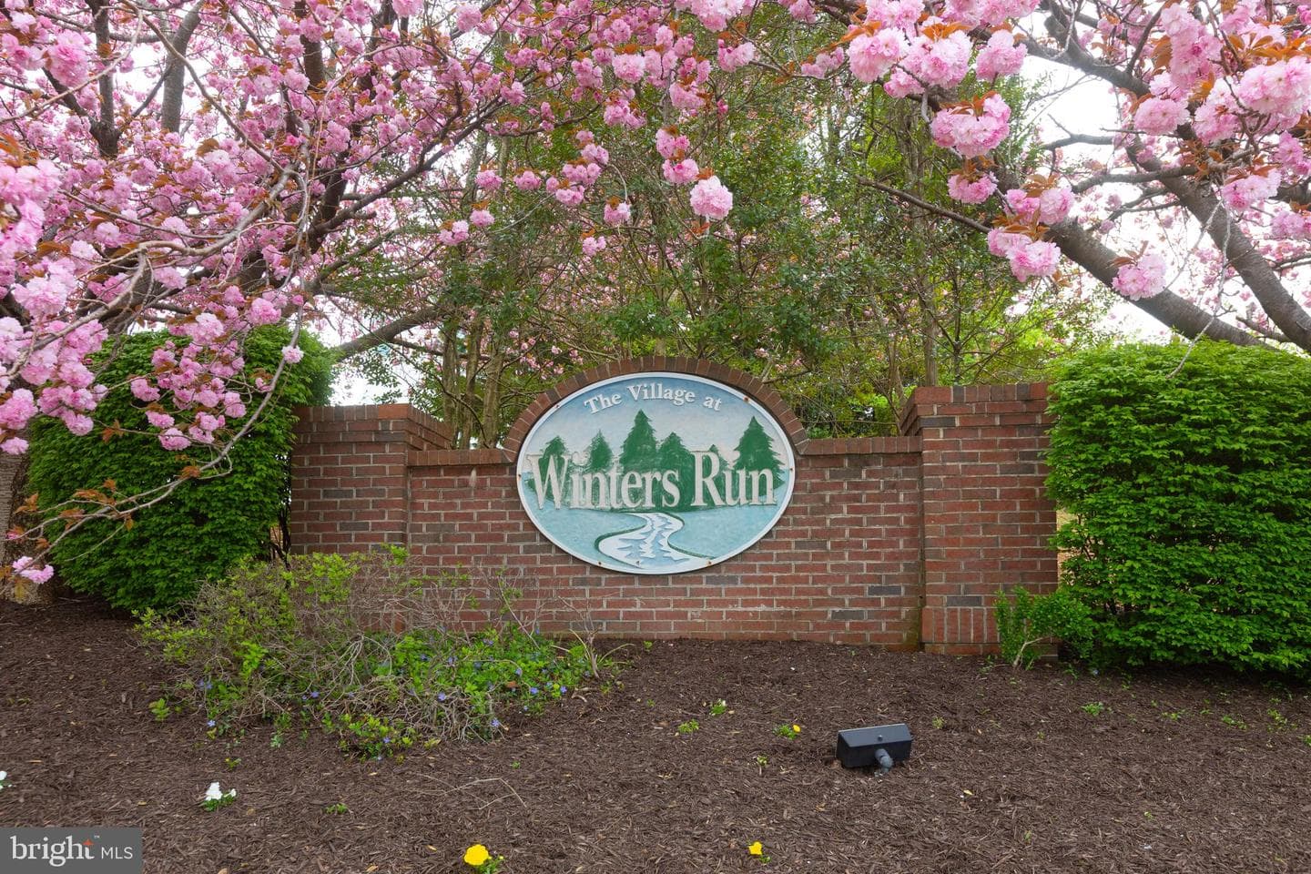 767 Shallow Ridge Court photo 46