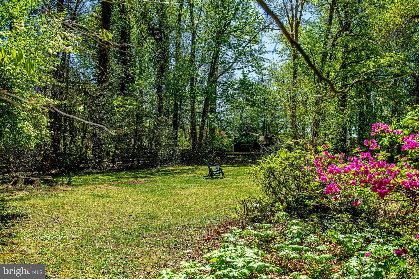 204 Woodland Drive photo 31