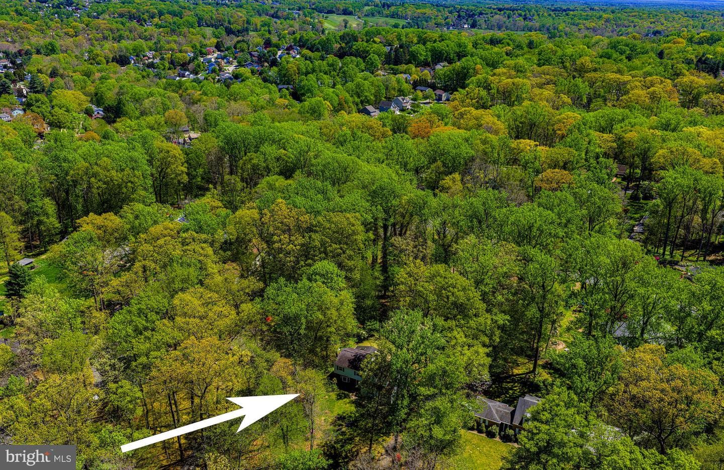 204 Woodland Drive photo 36