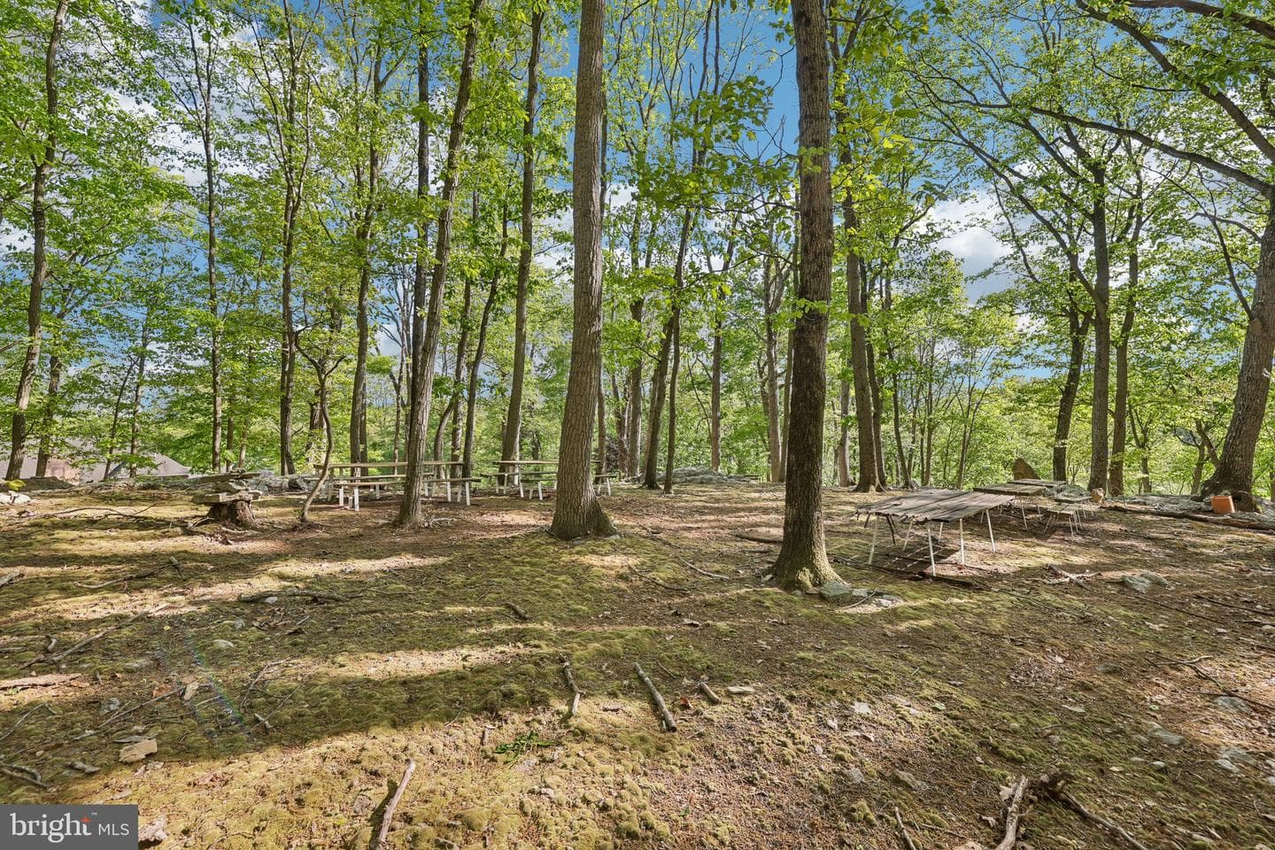 3632 Burkins Rd photo 87