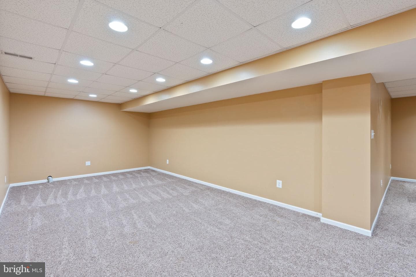 116 Hibiscus Court photo 37