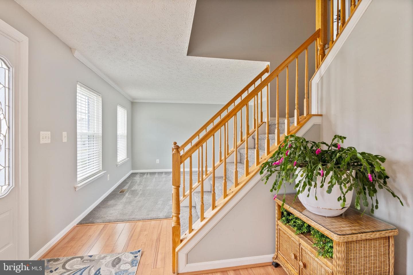 116 Hibiscus Court photo 4