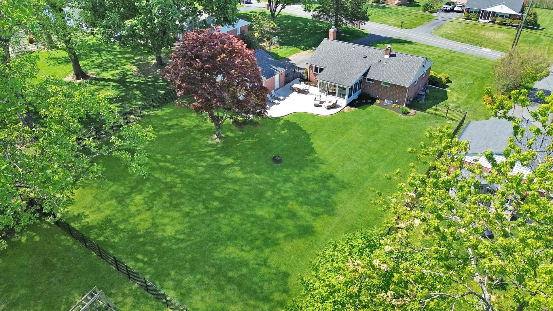 407 Plumtree Road photo 28