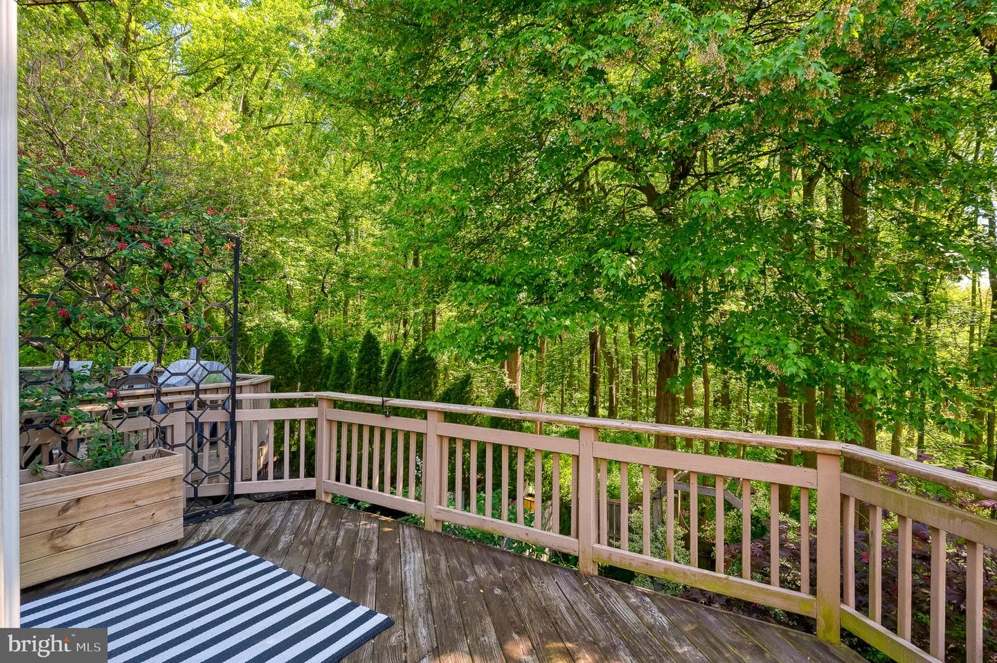 124 Gracecroft Drive photo 32