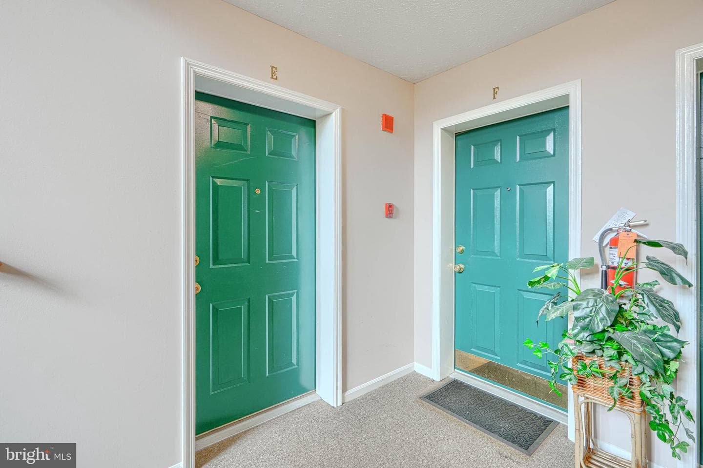 902 Jessicas Lane #902-E photo 4