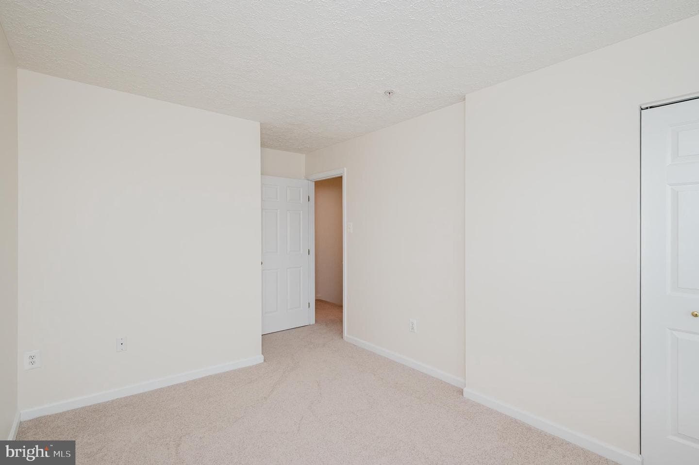 556 Macintosh Circle photo 22
