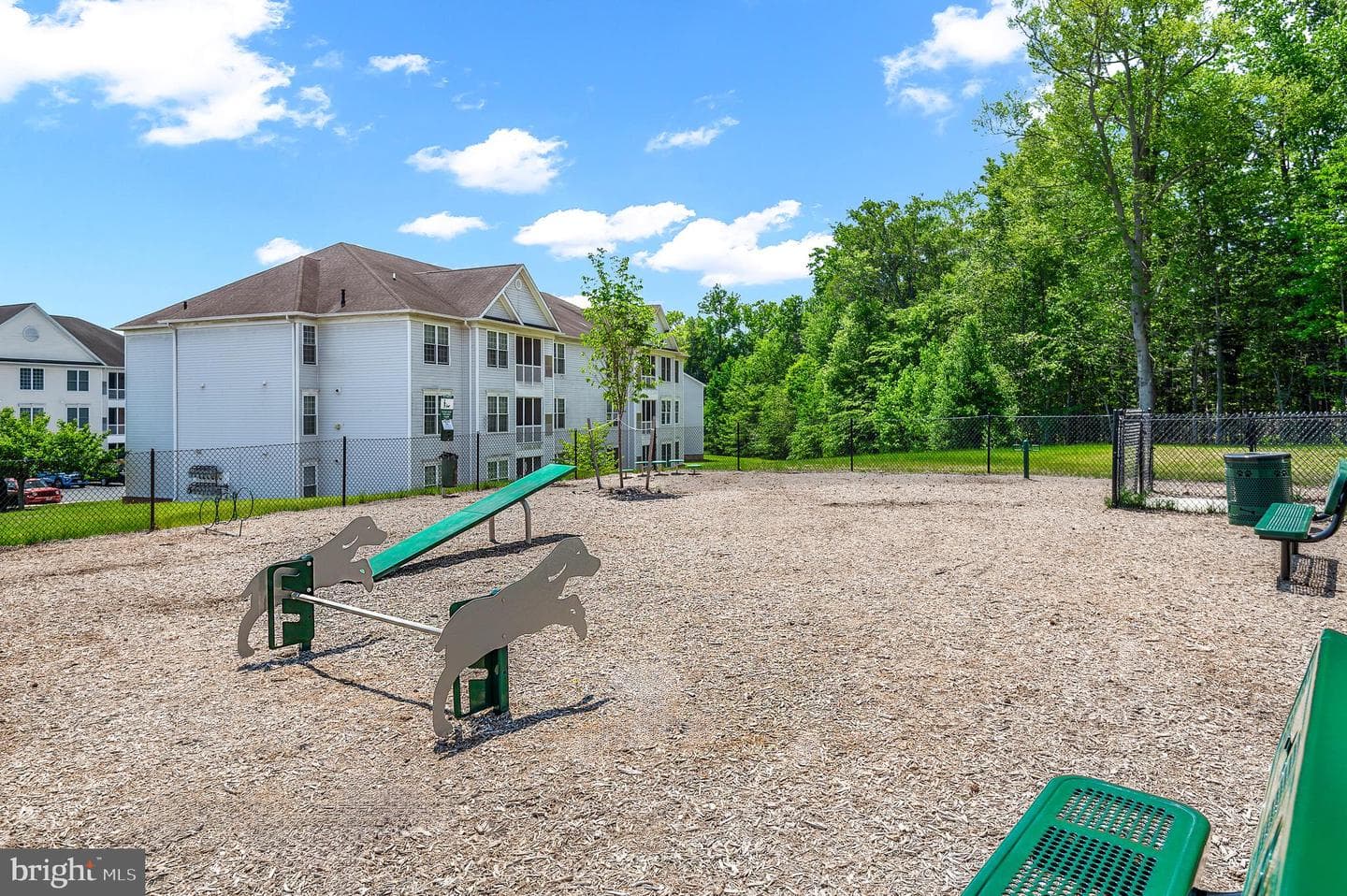 718 Bur Oak Court photo 28