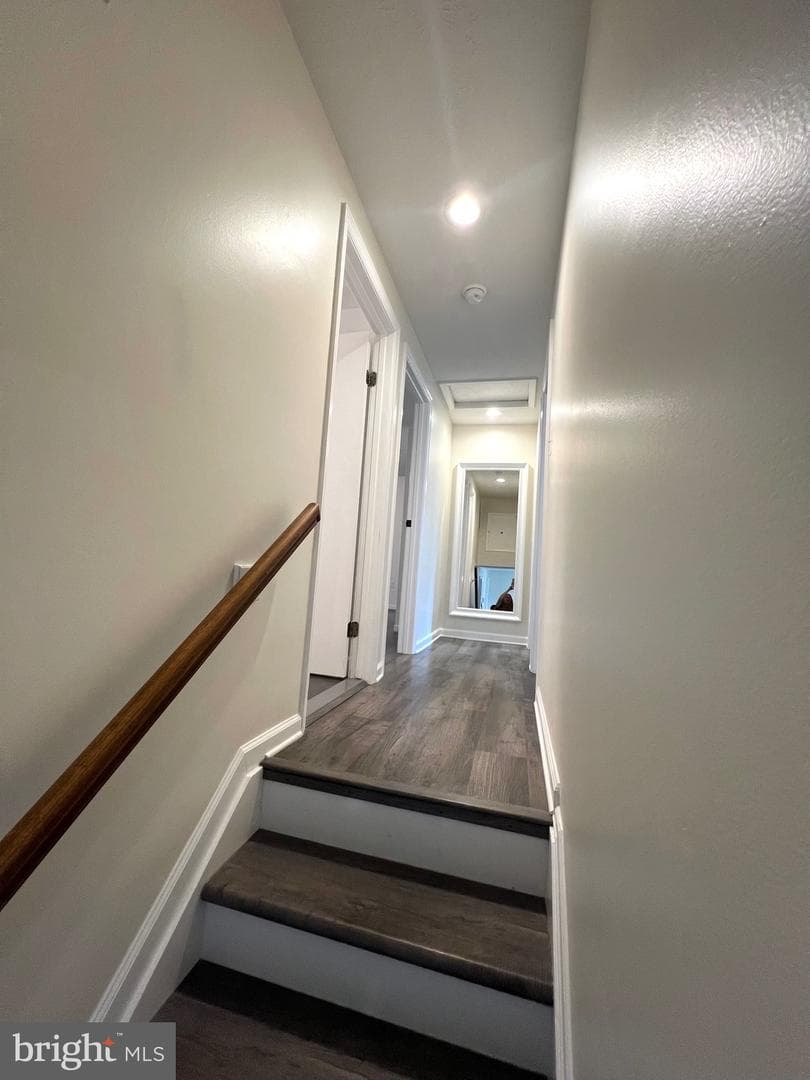 713 Paul Drive photo 15