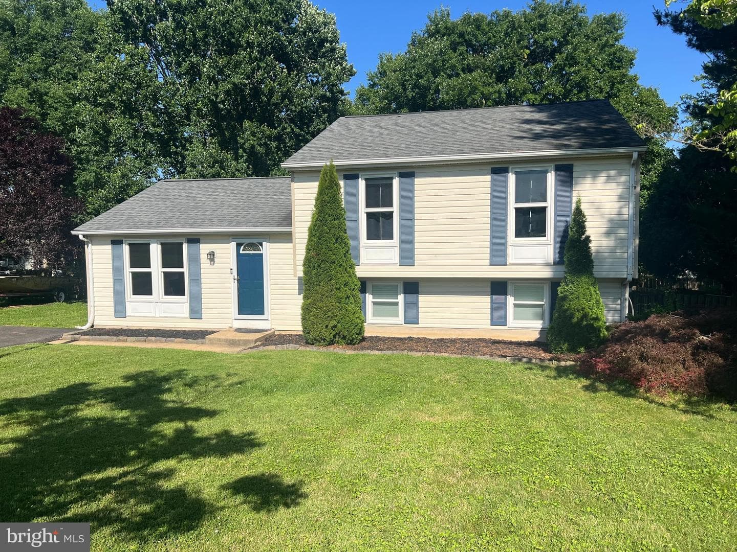 713 Paul Drive photo 3