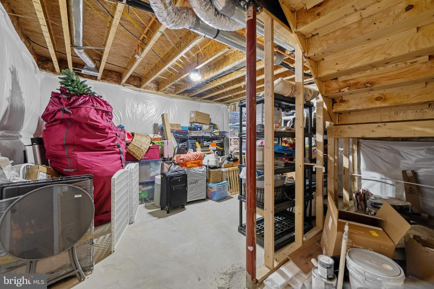 504 Tabasco Cat Court photo 44