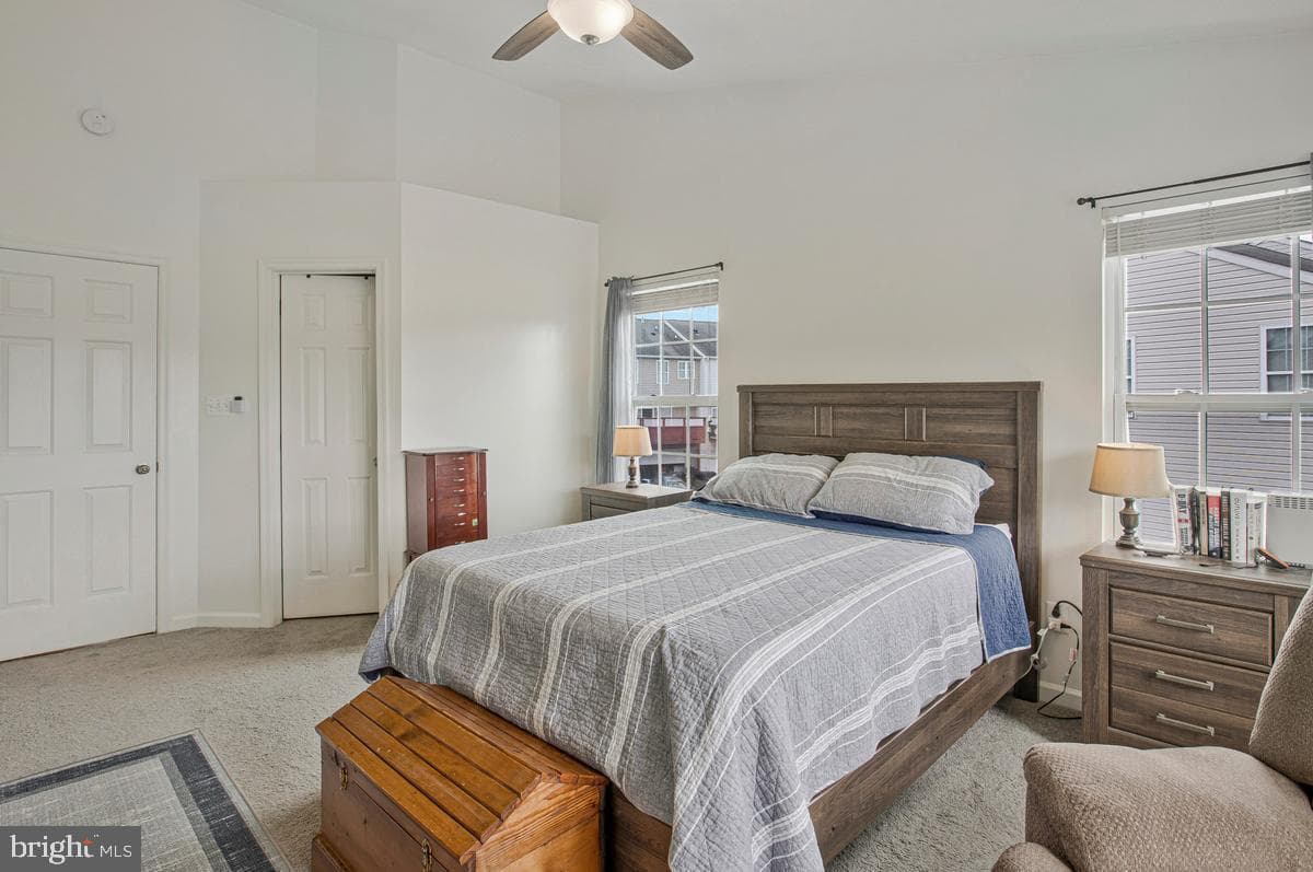 610 Snowberry Way photo 19