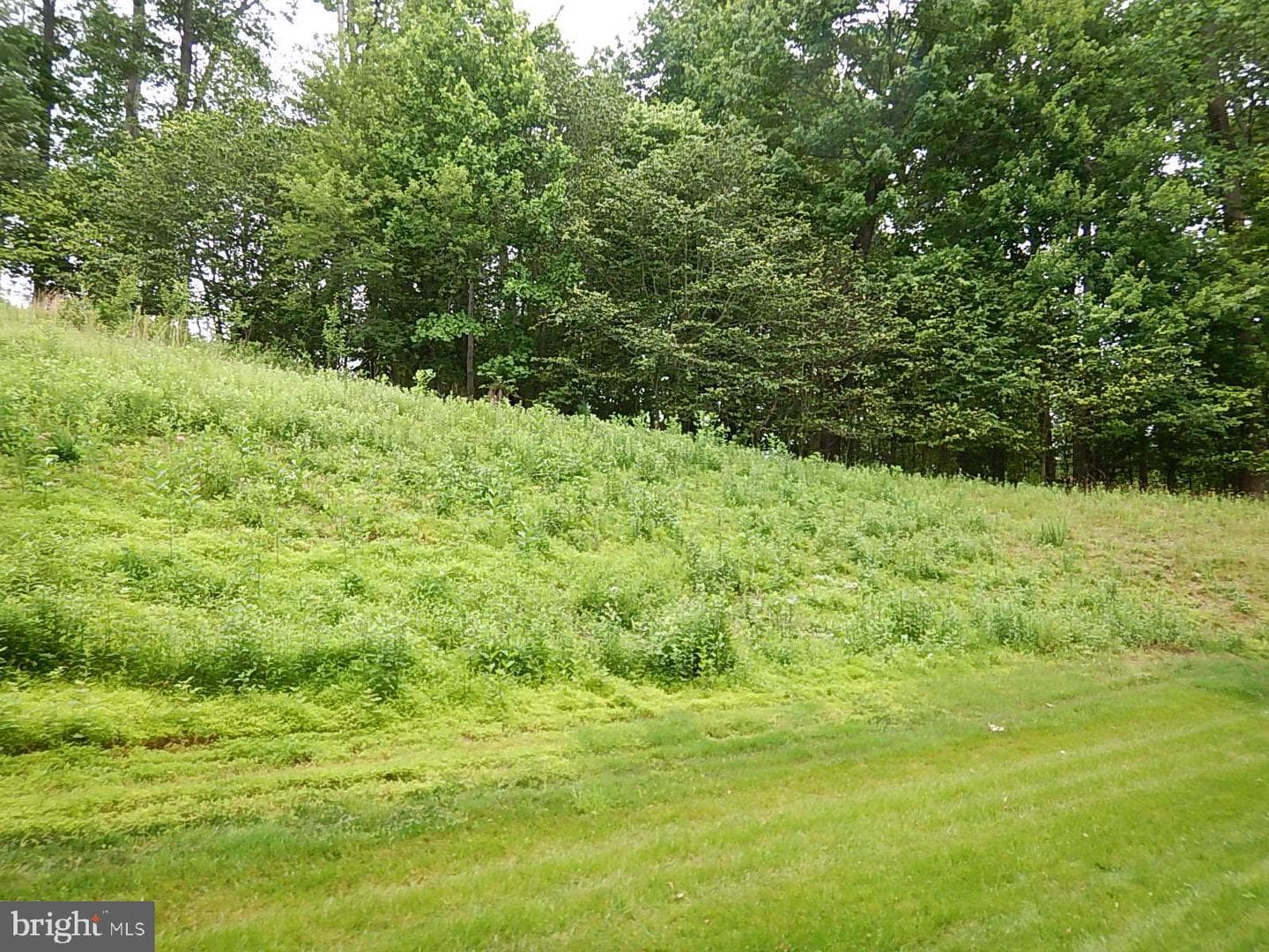 902 Macphail Woods Crossing #1e photo 43
