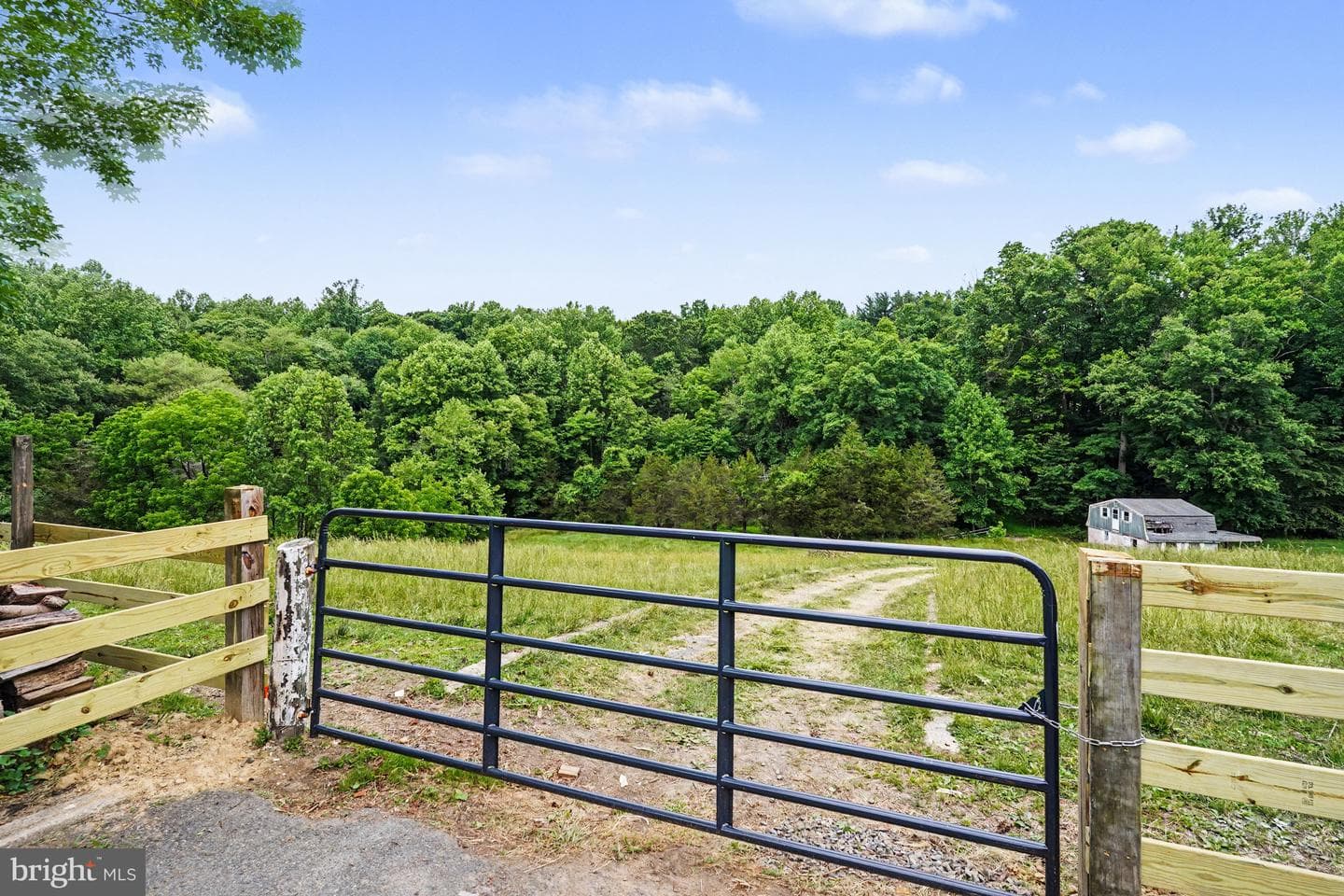 3214 Sandy Hook Road photo 68